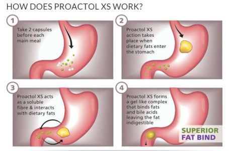 Where to Purchase Proactol Plus in Bradford